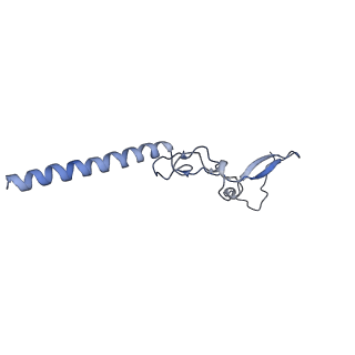 9237_6mtb_g_v2-0
Rabbit 80S ribosome with P- and Z-site tRNAs (unrotated state)