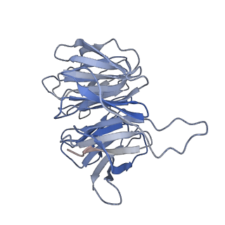 9237_6mtb_gg_v1-1
Rabbit 80S ribosome with P- and Z-site tRNAs (unrotated state)