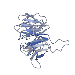 9237_6mtb_gg_v2-0
Rabbit 80S ribosome with P- and Z-site tRNAs (unrotated state)