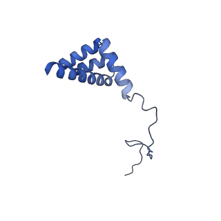 9237_6mtb_i_v1-1
Rabbit 80S ribosome with P- and Z-site tRNAs (unrotated state)