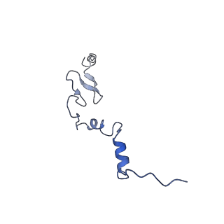 9237_6mtb_j_v1-1
Rabbit 80S ribosome with P- and Z-site tRNAs (unrotated state)