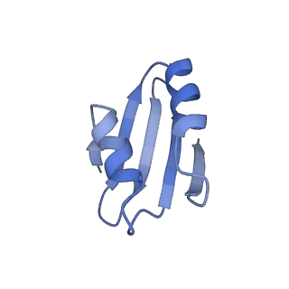 9237_6mtb_k_v1-1
Rabbit 80S ribosome with P- and Z-site tRNAs (unrotated state)