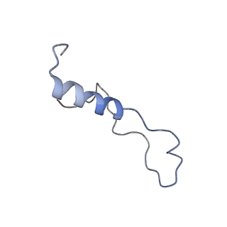 9237_6mtb_l_v1-1
Rabbit 80S ribosome with P- and Z-site tRNAs (unrotated state)