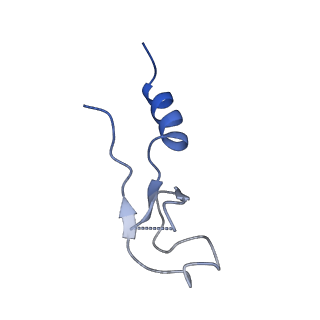 9237_6mtb_m_v1-1
Rabbit 80S ribosome with P- and Z-site tRNAs (unrotated state)