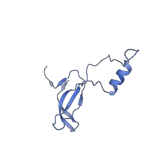9237_6mtb_o_v1-1
Rabbit 80S ribosome with P- and Z-site tRNAs (unrotated state)