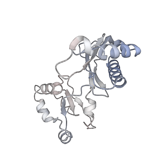 9237_6mtb_u_v2-0
Rabbit 80S ribosome with P- and Z-site tRNAs (unrotated state)