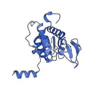 9239_6mtc_AA_v1-1
Rabbit 80S ribosome with Z-site tRNA and IFRD2 (unrotated state)