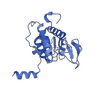 9239_6mtc_AA_v2-0
Rabbit 80S ribosome with Z-site tRNA and IFRD2 (unrotated state)