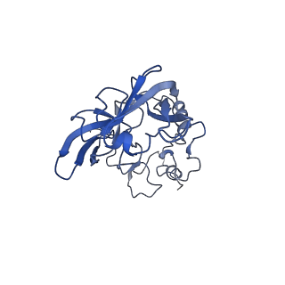 9239_6mtc_A_v1-1
Rabbit 80S ribosome with Z-site tRNA and IFRD2 (unrotated state)