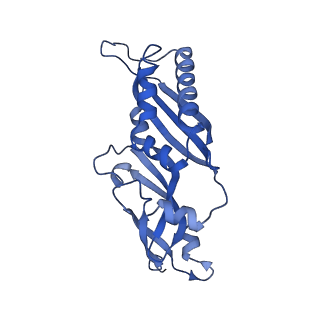 9239_6mtc_BB_v1-1
Rabbit 80S ribosome with Z-site tRNA and IFRD2 (unrotated state)
