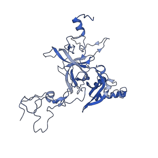 9239_6mtc_B_v1-1
Rabbit 80S ribosome with Z-site tRNA and IFRD2 (unrotated state)