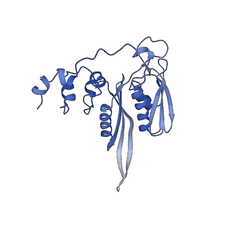 9239_6mtc_CC_v1-1
Rabbit 80S ribosome with Z-site tRNA and IFRD2 (unrotated state)