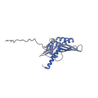 9239_6mtc_DD_v1-1
Rabbit 80S ribosome with Z-site tRNA and IFRD2 (unrotated state)