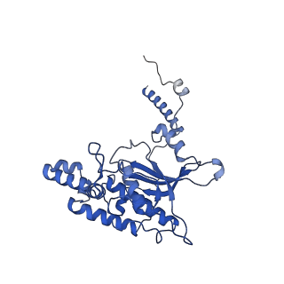 9239_6mtc_D_v1-1
Rabbit 80S ribosome with Z-site tRNA and IFRD2 (unrotated state)