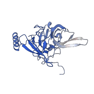 9239_6mtc_EE_v1-1
Rabbit 80S ribosome with Z-site tRNA and IFRD2 (unrotated state)