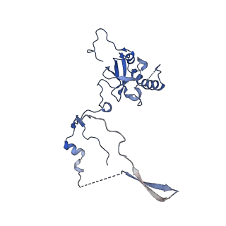 9239_6mtc_E_v1-1
Rabbit 80S ribosome with Z-site tRNA and IFRD2 (unrotated state)