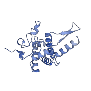 9239_6mtc_FF_v1-1
Rabbit 80S ribosome with Z-site tRNA and IFRD2 (unrotated state)