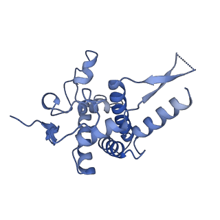 9239_6mtc_FF_v2-0
Rabbit 80S ribosome with Z-site tRNA and IFRD2 (unrotated state)