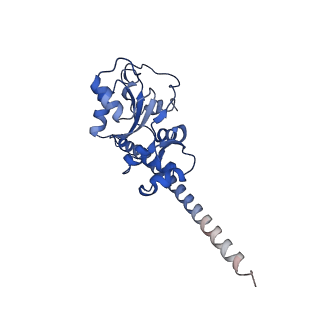 9239_6mtc_F_v1-1
Rabbit 80S ribosome with Z-site tRNA and IFRD2 (unrotated state)