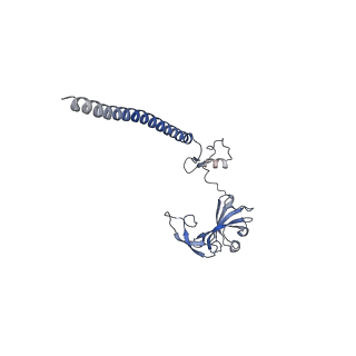9239_6mtc_GG_v1-1
Rabbit 80S ribosome with Z-site tRNA and IFRD2 (unrotated state)
