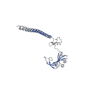 9239_6mtc_GG_v2-0
Rabbit 80S ribosome with Z-site tRNA and IFRD2 (unrotated state)