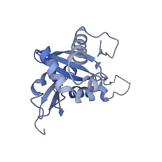 9239_6mtc_HH_v1-1
Rabbit 80S ribosome with Z-site tRNA and IFRD2 (unrotated state)
