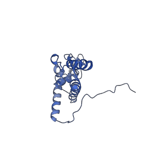 9239_6mtc_JJ_v1-1
Rabbit 80S ribosome with Z-site tRNA and IFRD2 (unrotated state)