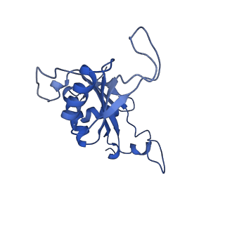 9239_6mtc_J_v1-1
Rabbit 80S ribosome with Z-site tRNA and IFRD2 (unrotated state)