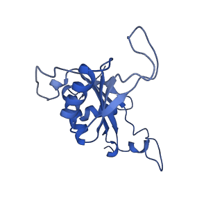 9239_6mtc_J_v2-0
Rabbit 80S ribosome with Z-site tRNA and IFRD2 (unrotated state)