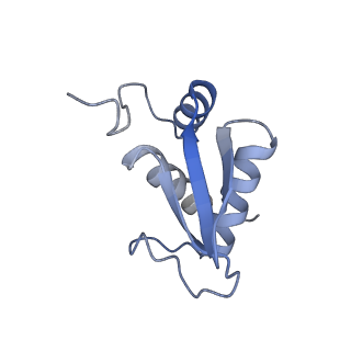 9239_6mtc_KK_v2-0
Rabbit 80S ribosome with Z-site tRNA and IFRD2 (unrotated state)