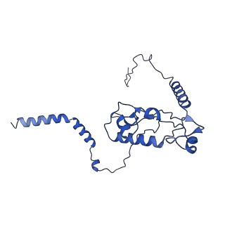 9239_6mtc_L_v1-1
Rabbit 80S ribosome with Z-site tRNA and IFRD2 (unrotated state)