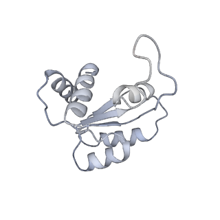 9239_6mtc_MM_v1-1
Rabbit 80S ribosome with Z-site tRNA and IFRD2 (unrotated state)
