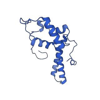 9239_6mtc_NN_v1-1
Rabbit 80S ribosome with Z-site tRNA and IFRD2 (unrotated state)
