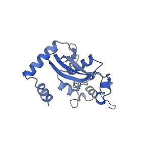 9239_6mtc_N_v1-1
Rabbit 80S ribosome with Z-site tRNA and IFRD2 (unrotated state)
