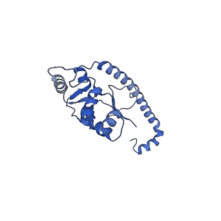 9239_6mtc_O_v1-1
Rabbit 80S ribosome with Z-site tRNA and IFRD2 (unrotated state)