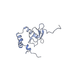 9239_6mtc_PP_v1-1
Rabbit 80S ribosome with Z-site tRNA and IFRD2 (unrotated state)