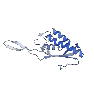 9239_6mtc_P_v1-1
Rabbit 80S ribosome with Z-site tRNA and IFRD2 (unrotated state)
