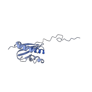 9239_6mtc_QQ_v1-1
Rabbit 80S ribosome with Z-site tRNA and IFRD2 (unrotated state)