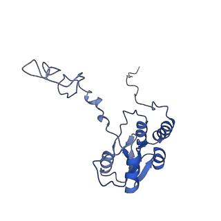 9239_6mtc_Q_v1-1
Rabbit 80S ribosome with Z-site tRNA and IFRD2 (unrotated state)