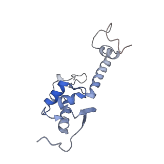 9239_6mtc_SS_v1-1
Rabbit 80S ribosome with Z-site tRNA and IFRD2 (unrotated state)