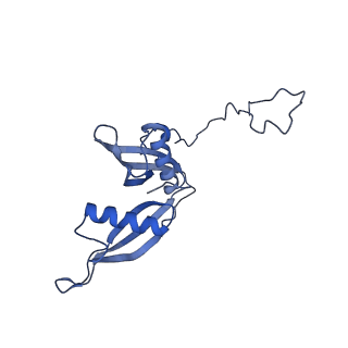 9239_6mtc_S_v1-1
Rabbit 80S ribosome with Z-site tRNA and IFRD2 (unrotated state)