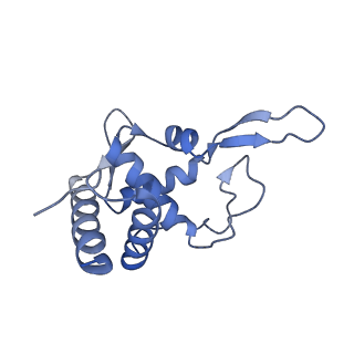 9239_6mtc_TT_v1-1
Rabbit 80S ribosome with Z-site tRNA and IFRD2 (unrotated state)