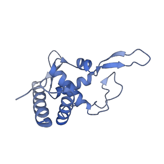 9239_6mtc_TT_v2-0
Rabbit 80S ribosome with Z-site tRNA and IFRD2 (unrotated state)