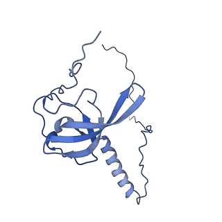 9239_6mtc_T_v1-1
Rabbit 80S ribosome with Z-site tRNA and IFRD2 (unrotated state)