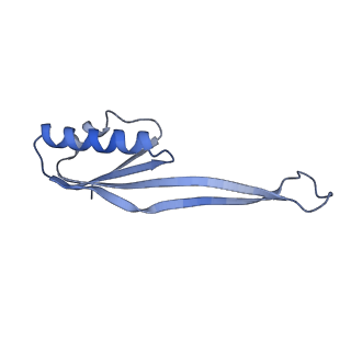 9239_6mtc_UU_v1-1
Rabbit 80S ribosome with Z-site tRNA and IFRD2 (unrotated state)
