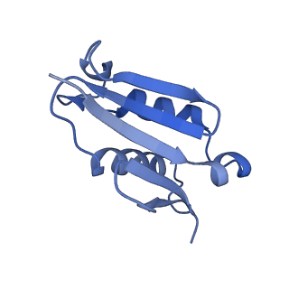 9239_6mtc_U_v1-1
Rabbit 80S ribosome with Z-site tRNA and IFRD2 (unrotated state)