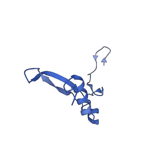 9239_6mtc_VV_v1-1
Rabbit 80S ribosome with Z-site tRNA and IFRD2 (unrotated state)