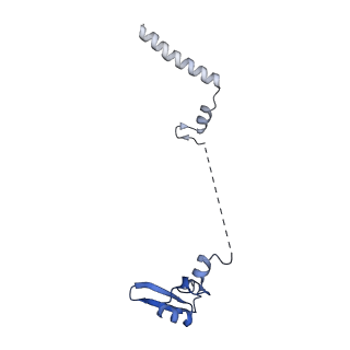 9239_6mtc_W_v1-1
Rabbit 80S ribosome with Z-site tRNA and IFRD2 (unrotated state)