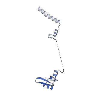 9239_6mtc_W_v2-0
Rabbit 80S ribosome with Z-site tRNA and IFRD2 (unrotated state)