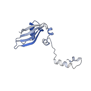 9239_6mtc_YY_v1-1
Rabbit 80S ribosome with Z-site tRNA and IFRD2 (unrotated state)